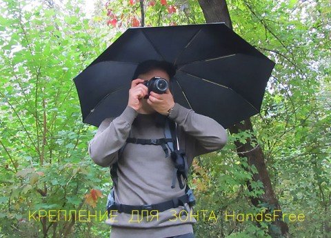 услуги